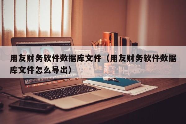 用友财务软件数据库文件（用友财务软件数据库文件怎么导出）