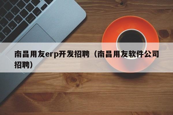 南昌用友erp开发招聘（南昌用友软件公司招聘）