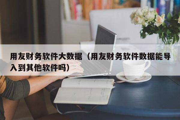 用友财务软件大数据（用友财务软件数据能导入到其他软件吗）