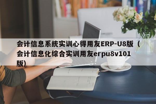 会计信息系统实训心得用友ERP-U8版（会计信息化综合实训用友erpu8v101版）