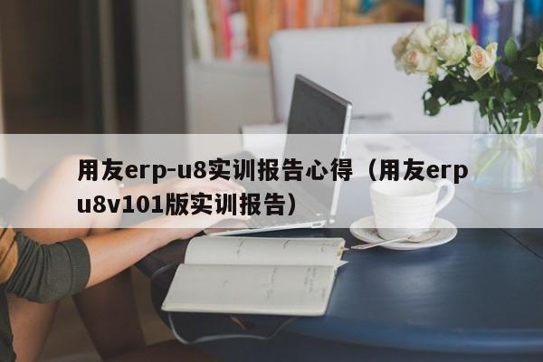 用友erp-u8实训报告心得（用友erpu8v101版实训报告）