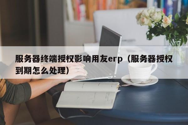 服务器终端授权影响用友erp（服务器授权到期怎么处理）