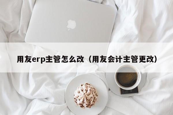 用友erp主管怎么改（用友会计主管更改）