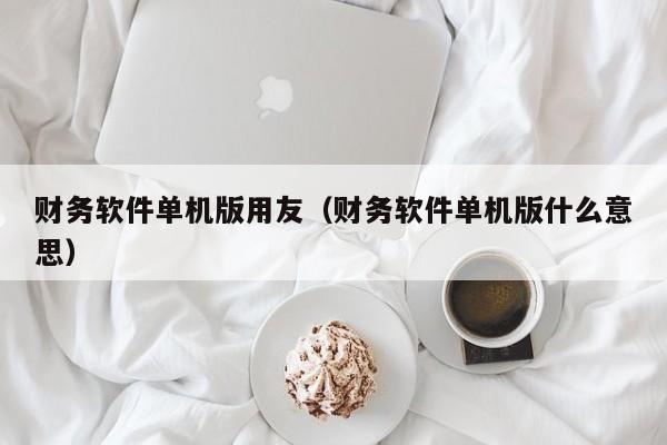 财务软件单机版用友（财务软件单机版什么意思）