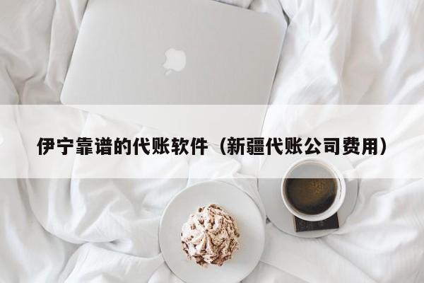 伊宁靠谱的代账软件（新疆代账公司费用）