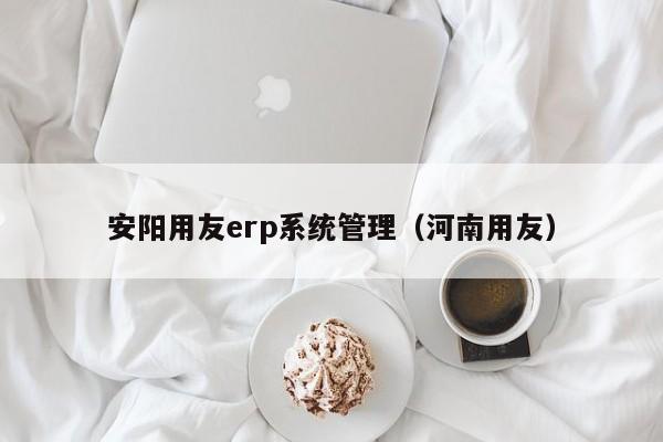 安阳用友erp系统管理（河南用友）