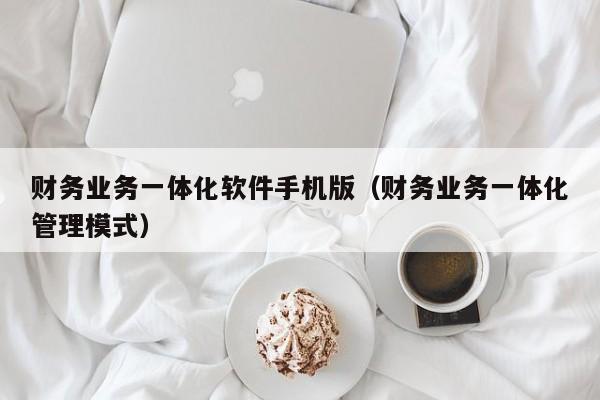 财务业务一体化软件手机版（财务业务一体化管理模式）