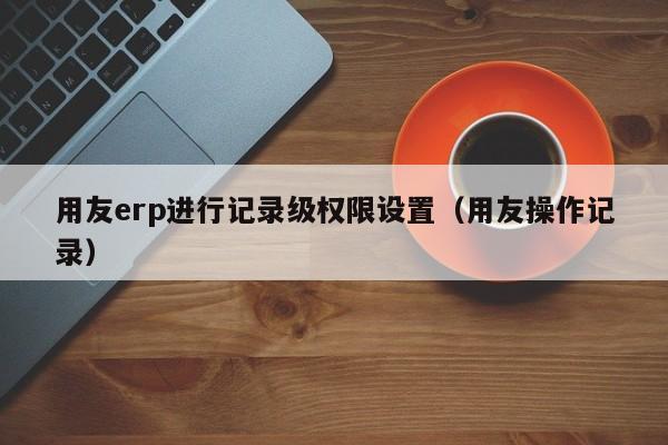 用友erp进行记录级权限设置（用友操作记录）