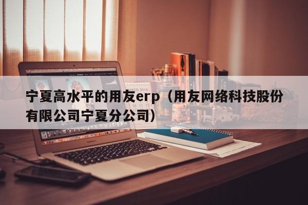 宁夏高水平的用友erp（用友网络科技股份有限公司宁夏分公司）