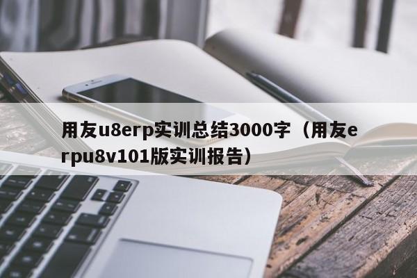 用友u8erp实训总结3000字（用友erpu8v101版实训报告）