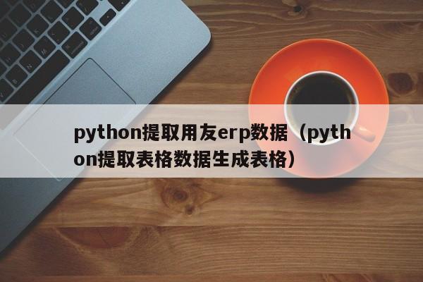 python提取用友erp数据（python提取表格数据生成表格）