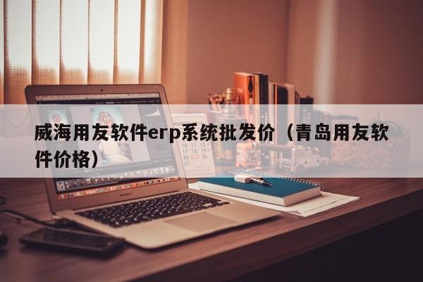 威海用友软件erp系统批发价（青岛用友软件价格）