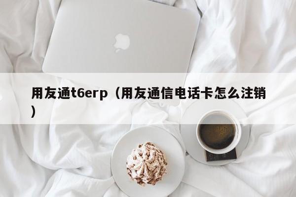 用友通t6erp（用友通信电话卡怎么注销）