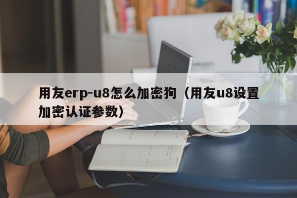 用友erp-u8怎么加密狗（用友u8设置加密认证参数）