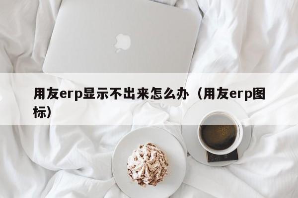 用友erp显示不出来怎么办（用友erp图标）