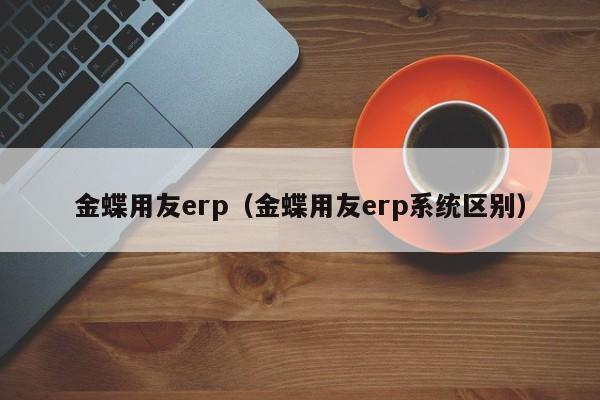 金蝶用友erp（金蝶用友erp系统区别）