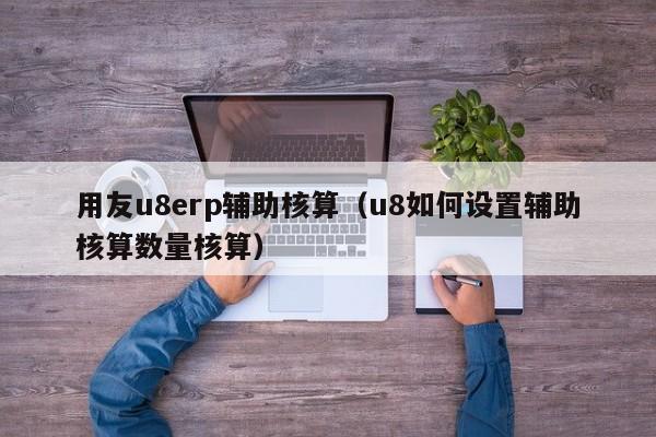 用友u8erp辅助核算（u8如何设置辅助核算数量核算）