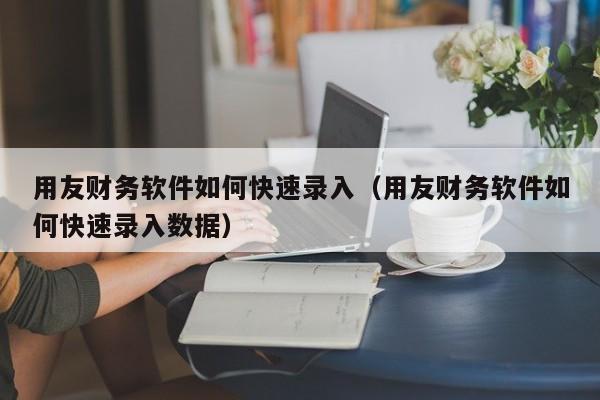 用友财务软件如何快速录入（用友财务软件如何快速录入数据）