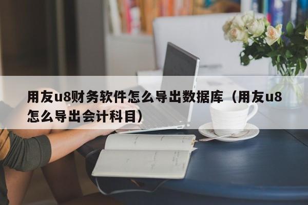 用友u8财务软件怎么导出数据库（用友u8怎么导出会计科目）