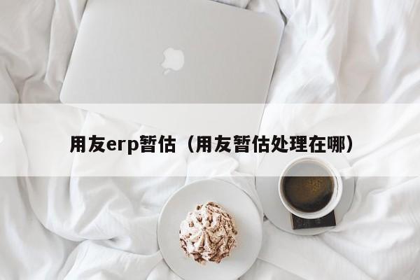 用友erp暂估（用友暂估处理在哪）