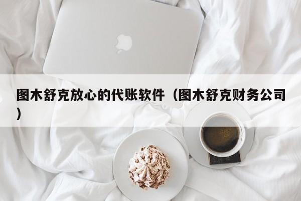 图木舒克放心的代账软件（图木舒克财务公司）