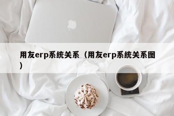 用友erp系统关系（用友erp系统关系图）