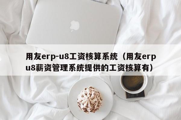 用友erp-u8工资核算系统（用友erpu8薪资管理系统提供的工资核算有）