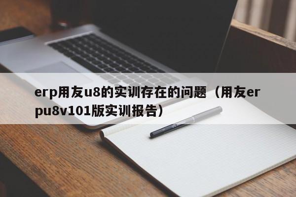 erp用友u8的实训存在的问题（用友erpu8v101版实训报告）