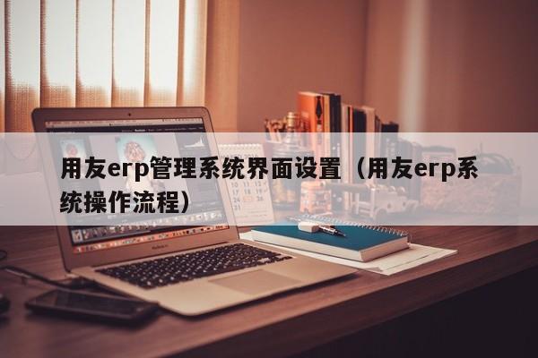 用友erp管理系统界面设置（用友erp系统操作流程）