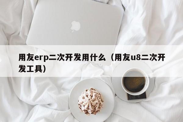 用友erp二次开发用什么（用友u8二次开发工具）