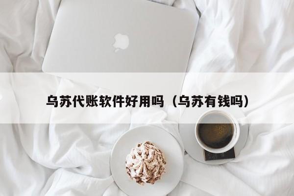 乌苏代账软件好用吗（乌苏有钱吗）