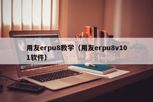 用友erpu8教学（用友erpu8v101软件）