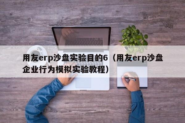 用友erp沙盘实验目的6（用友erp沙盘企业行为模拟实验教程）