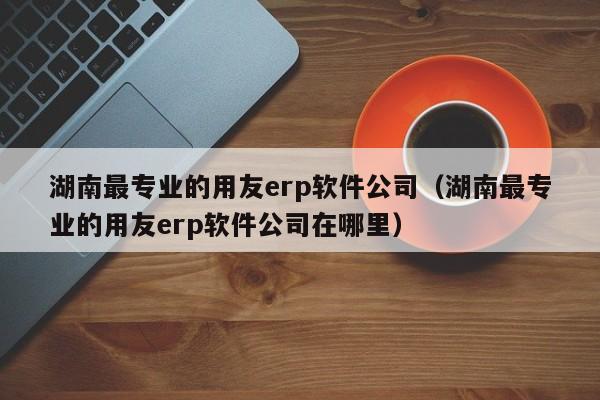 湖南最专业的用友erp软件公司（湖南最专业的用友erp软件公司在哪里）