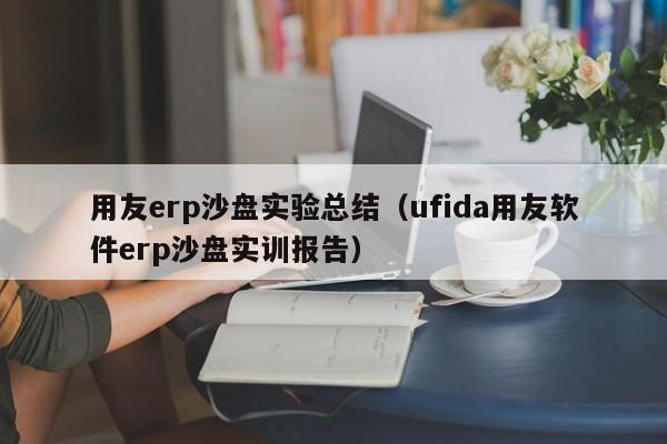 用友erp沙盘实验总结（ufida用友软件erp沙盘实训报告）