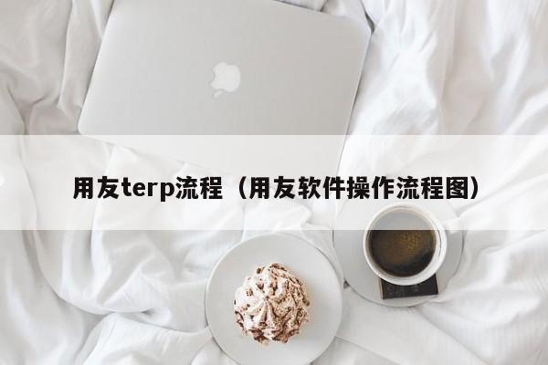 用友terp流程（用友软件操作流程图）