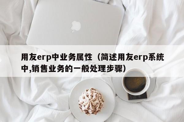 用友erp中业务属性（简述用友erp系统中,销售业务的一般处理步骤）