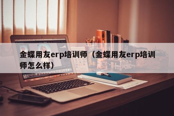 金蝶用友erp培训师（金蝶用友erp培训师怎么样）