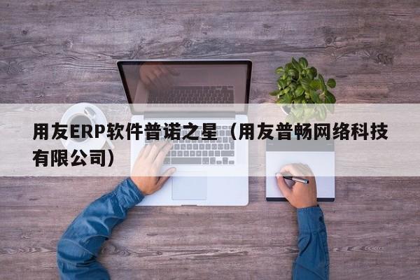 用友ERP软件普诺之星（用友普畅网络科技有限公司）