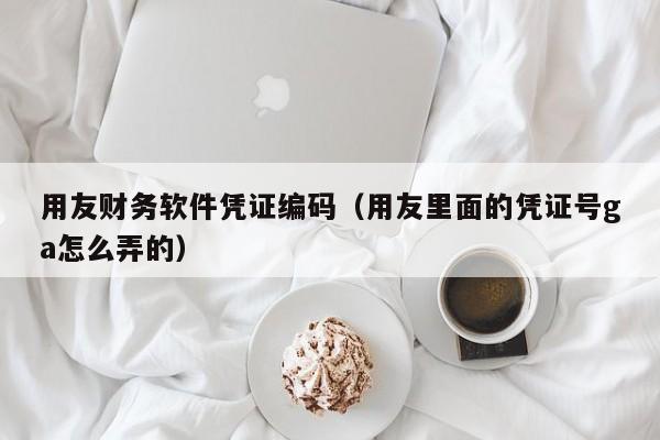 用友财务软件凭证编码（用友里面的凭证号ga怎么弄的）
