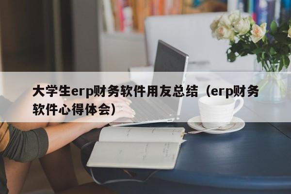 大学生erp财务软件用友总结（erp财务软件心得体会）