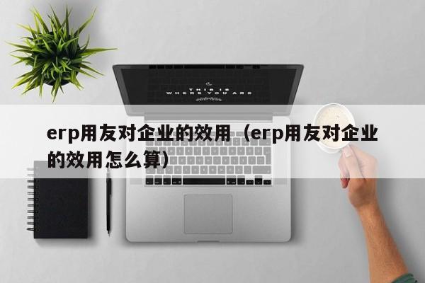 erp用友对企业的效用（erp用友对企业的效用怎么算）