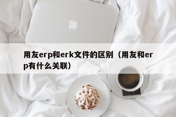 用友erp和erk文件的区别（用友和erp有什么关联）