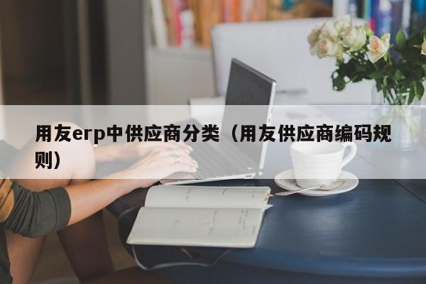 用友erp中供应商分类（用友供应商编码规则）