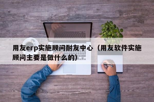 用友erp实施顾问耐友中心（用友软件实施顾问主要是做什么的）