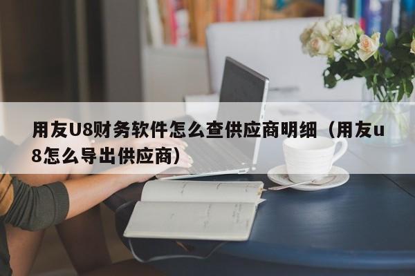 用友U8财务软件怎么查供应商明细（用友u8怎么导出供应商）