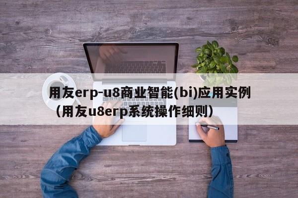 用友erp-u8商业智能(bi)应用实例（用友u8erp系统操作细则）