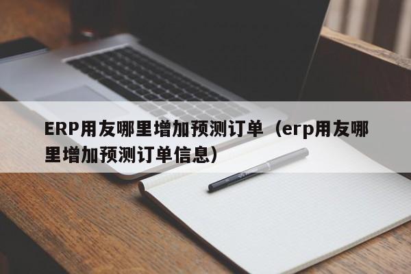 ERP用友哪里增加预测订单（erp用友哪里增加预测订单信息）