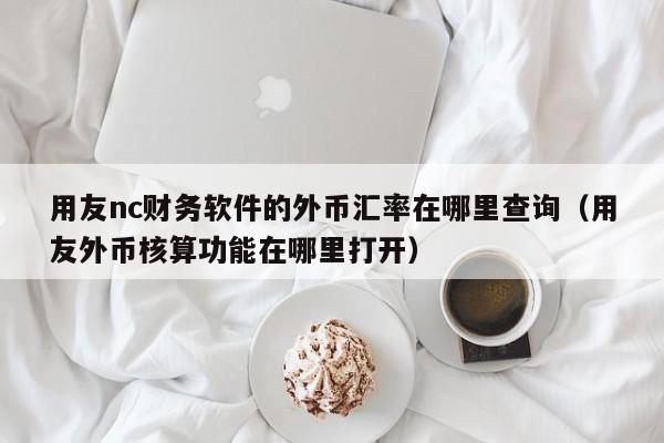 用友nc财务软件的外币汇率在哪里查询（用友外币核算功能在哪里打开）