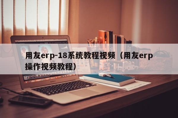 用友erp-18系统教程视频（用友erp操作视频教程）